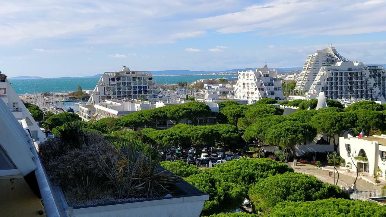 Studio Vue Panoramique-Centre Ville La Grande Motte Dış mekan fotoğraf
